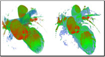 Volumetric Real-Time Particle-Based Representation of Large Unstructured Tetrahedral Polygon Meshes